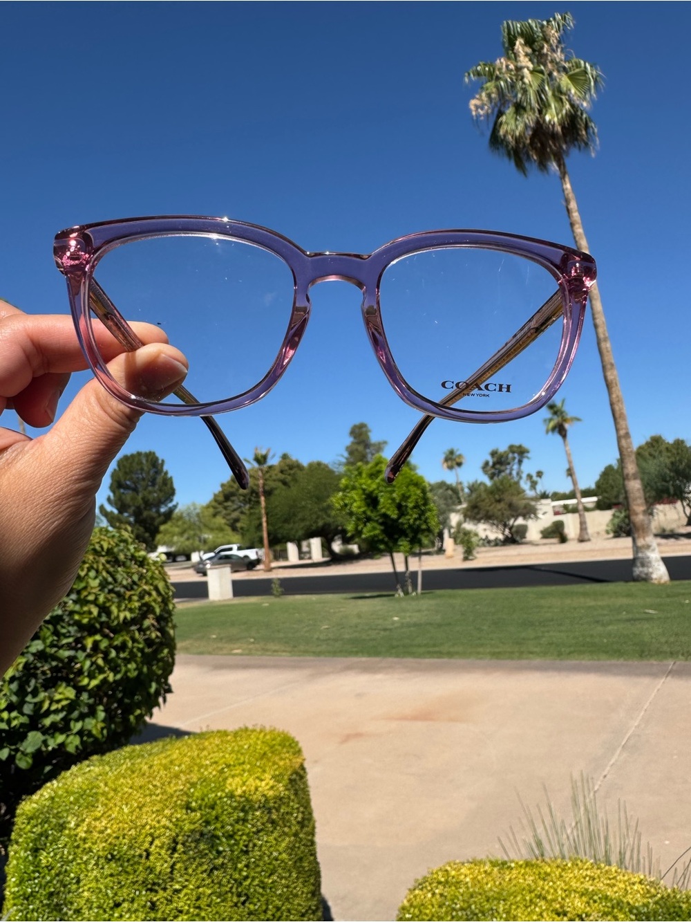 COACH Pink Transparent Berry Optical Frames New in Box